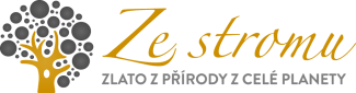 Logo zestromu.cz